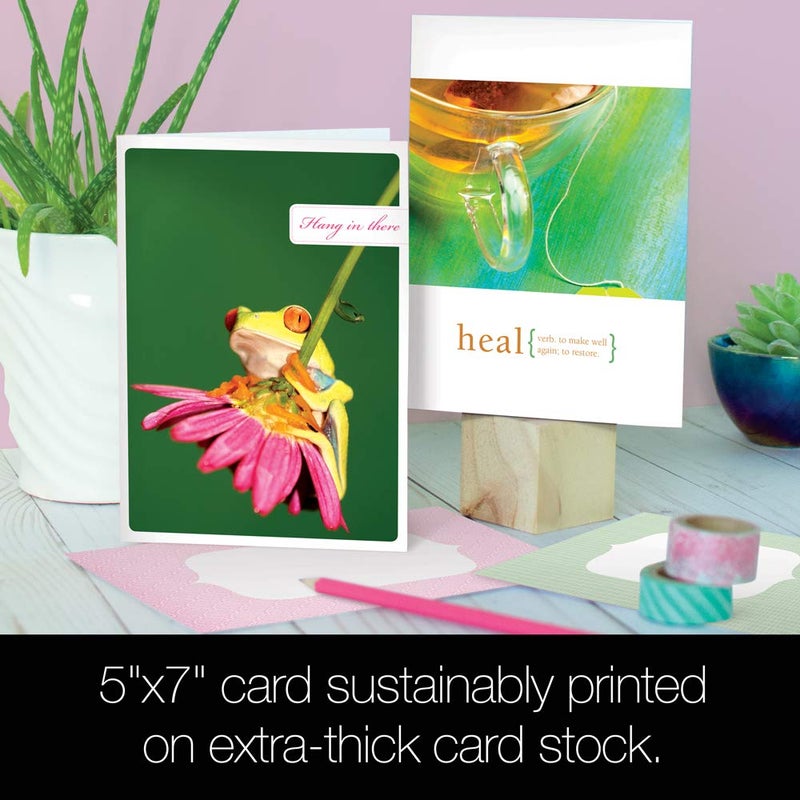 Tree-Free Greetings - Get Well Cards - Artful Designs - 8 Assorted Cards + Matching Envelopes - Made in USA - 100% Recycled Paper - 5 x 7 - Rest Up and Heal (GA31531) - Image 4